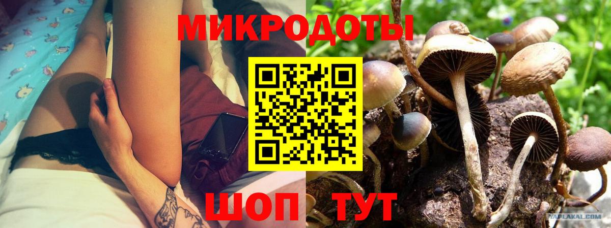 Псилоцибиновые грибы прущие грибы Павловский Посад