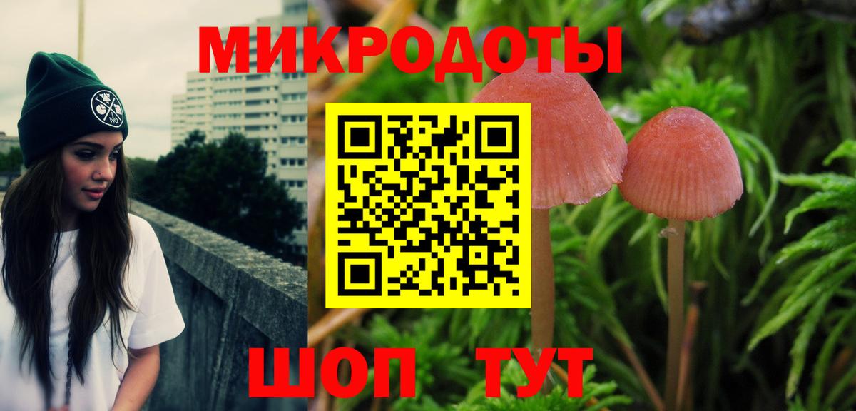 Павловский Посад  Псилоцибиновые грибы Cubensis  Вход с VPN  Псилоцибиновые грибы Cubensis 